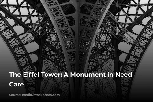 The Eiffel Tower: A Monument in Need of Care