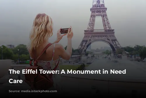 The Eiffel Tower: A Monument in Need of Care