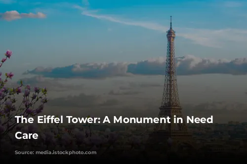 The Eiffel Tower: A Monument in Need of Care