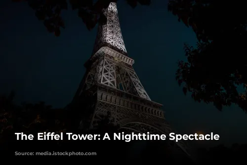 The Eiffel Tower: A Nighttime Spectacle