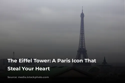 The Eiffel Tower: A Paris Icon That Will Steal Your Heart