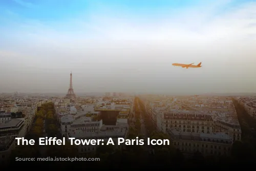 The Eiffel Tower: A Paris Icon