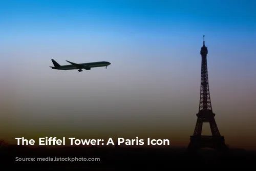 The Eiffel Tower: A Paris Icon