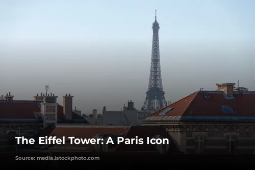 The Eiffel Tower: A Paris Icon