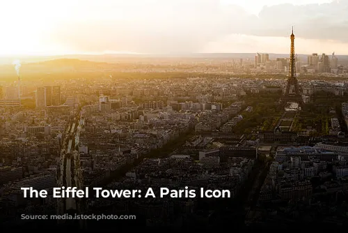 The Eiffel Tower: A Paris Icon