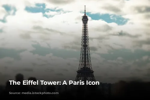 The Eiffel Tower: A Paris Icon