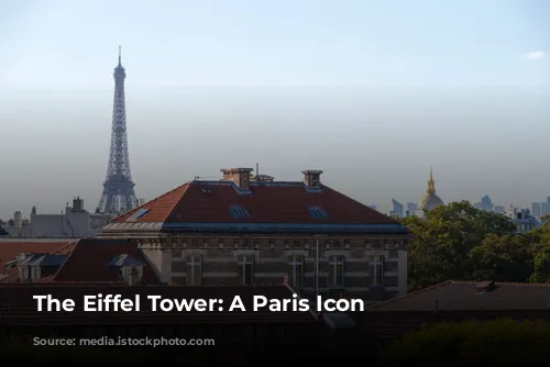 The Eiffel Tower: A Paris Icon