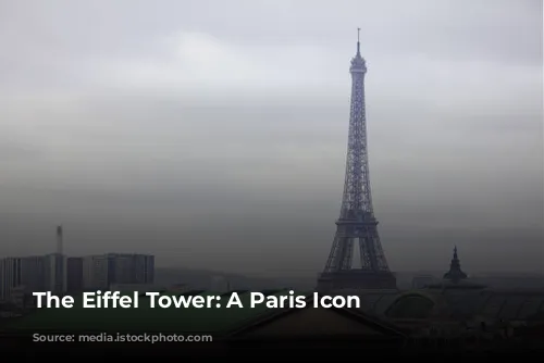 The Eiffel Tower: A Paris Icon