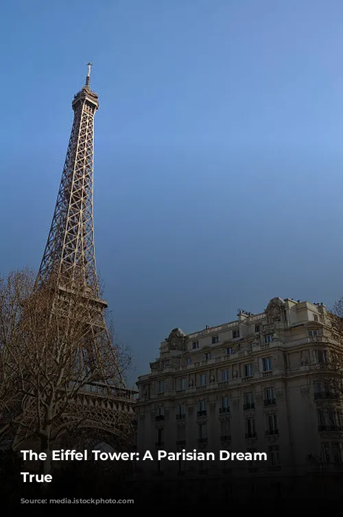 The Eiffel Tower: A Parisian Dream Come True