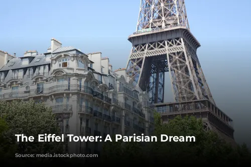 The Eiffel Tower: A Parisian Dream 🗼