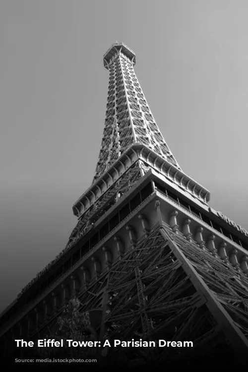 The Eiffel Tower: A Parisian Dream