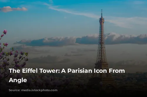 The Eiffel Tower: A Parisian Icon From Every Angle