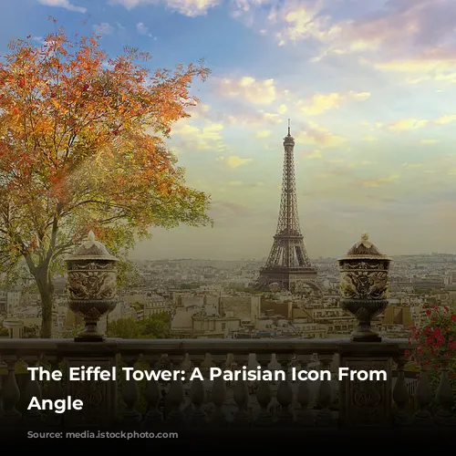 The Eiffel Tower: A Parisian Icon From Every Angle