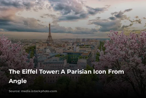 The Eiffel Tower: A Parisian Icon From Every Angle