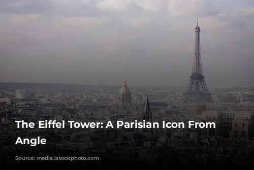 The Eiffel Tower: A Parisian Icon From Every Angle