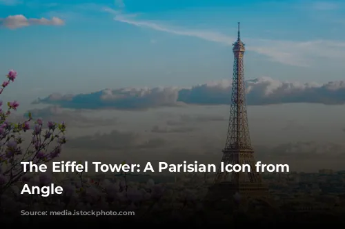 The Eiffel Tower: A Parisian Icon from Every Angle