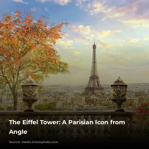 The Eiffel Tower: A Parisian Icon from Every Angle