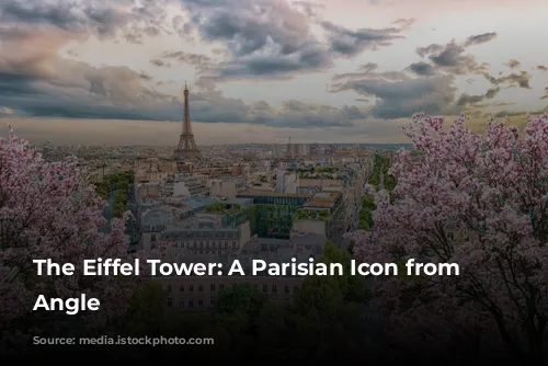 The Eiffel Tower: A Parisian Icon from Every Angle