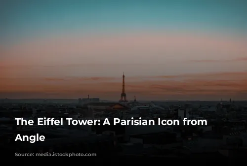 The Eiffel Tower: A Parisian Icon from Every Angle