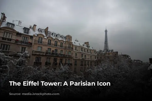 The Eiffel Tower: A Parisian Icon