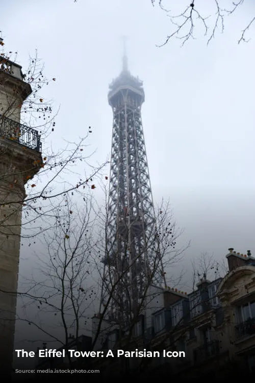 The Eiffel Tower: A Parisian Icon