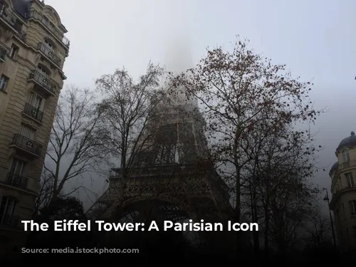 The Eiffel Tower: A Parisian Icon