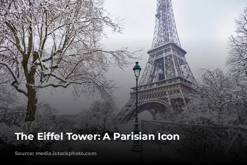 The Eiffel Tower: A Parisian Icon