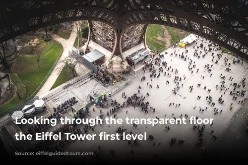 Looking through the transparent floor of the Eiffel Tower first level