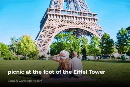 picnic at the foot of the Eiffel Tower