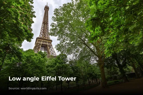 Low angle Eiffel Tower