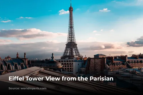 Eiffel Tower View from the Parisian Roofs