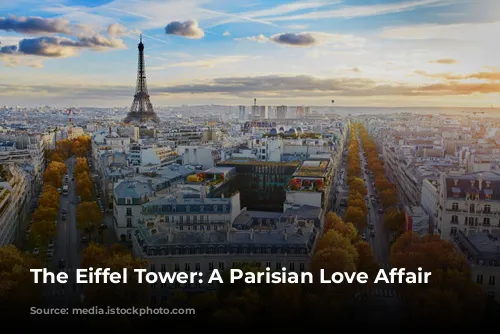 The Eiffel Tower: A Parisian Love Affair