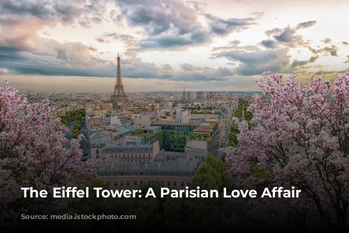 The Eiffel Tower: A Parisian Love Affair