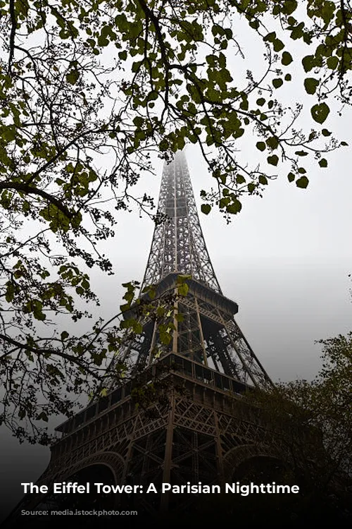 The Eiffel Tower: A Parisian Nighttime Spectacle