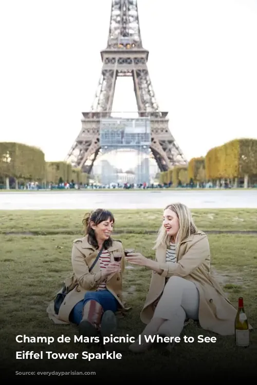 Champ de Mars picnic | Where to See the Eiffel Tower Sparkle