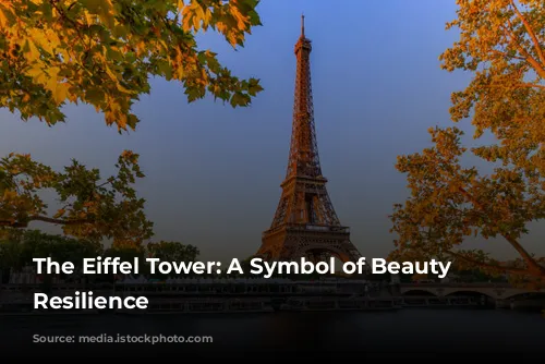 The Eiffel Tower: A Symbol of Beauty and Resilience