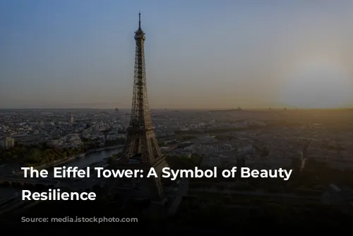 The Eiffel Tower: A Symbol of Beauty and Resilience