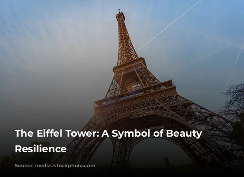 The Eiffel Tower: A Symbol of Beauty and Resilience