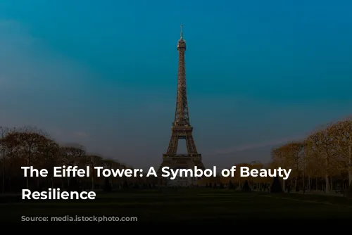 The Eiffel Tower: A Symbol of Beauty and Resilience