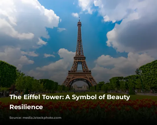 The Eiffel Tower: A Symbol of Beauty and Resilience