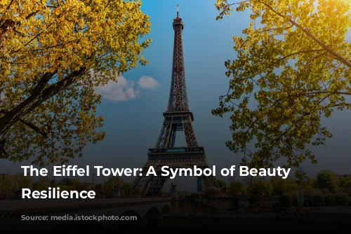 The Eiffel Tower: A Symbol of Beauty and Resilience