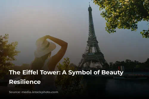 The Eiffel Tower: A Symbol of Beauty and Resilience