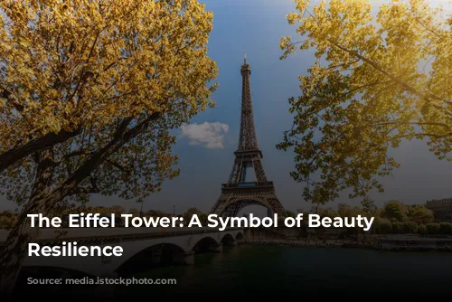 The Eiffel Tower: A Symbol of Beauty and Resilience