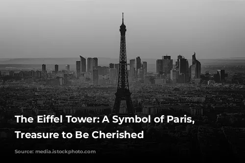 The Eiffel Tower: A Symbol of Paris, a Treasure to Be Cherished