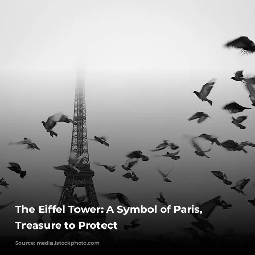 The Eiffel Tower: A Symbol of Paris, a Treasure to Protect