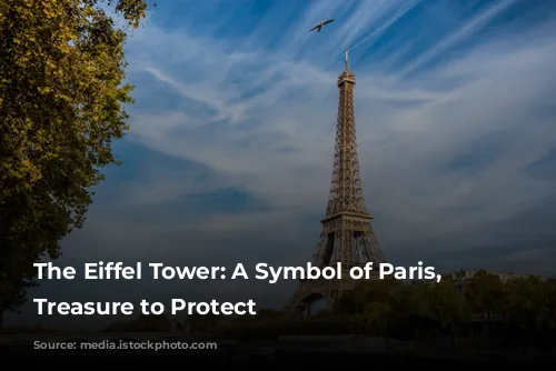 The Eiffel Tower: A Symbol of Paris, a Treasure to Protect