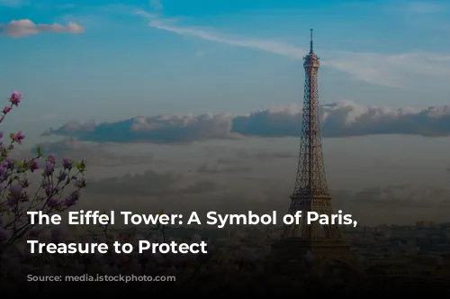 The Eiffel Tower: A Symbol of Paris, a Treasure to Protect