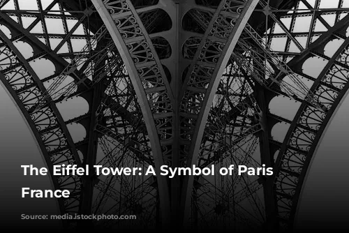 The Eiffel Tower: A Symbol of Paris and France