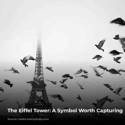 The Eiffel Tower: A Symbol Worth Capturing