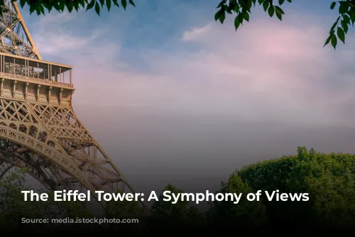 The Eiffel Tower: A Symphony of Views